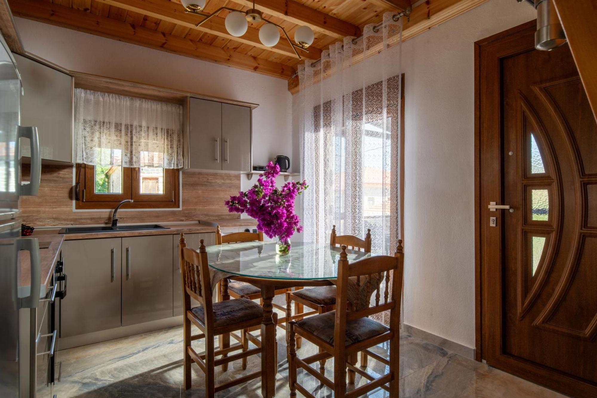 House Draganis Villa Sykia Chalkidikis Exterior photo