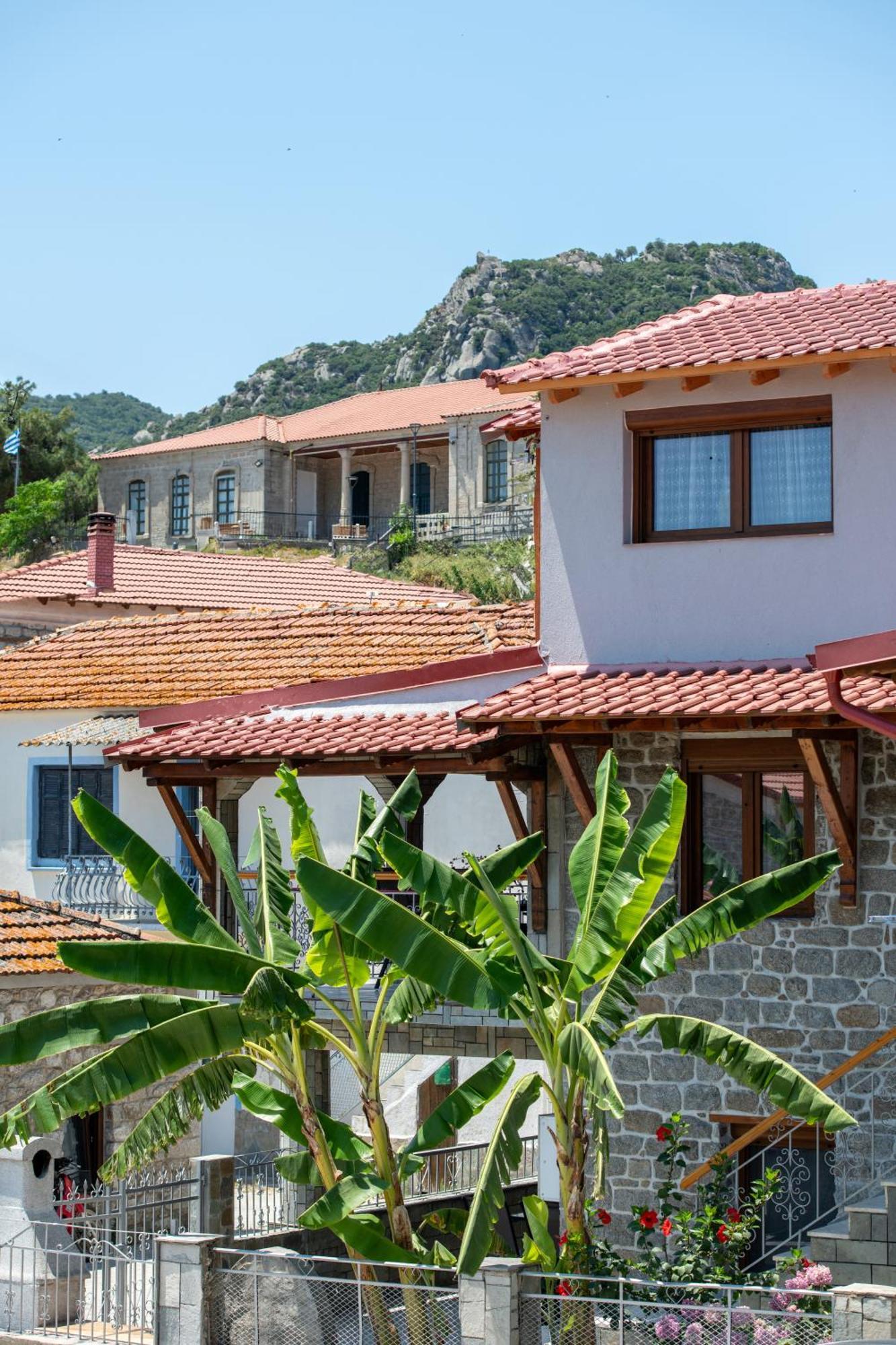House Draganis Villa Sykia Chalkidikis Exterior photo