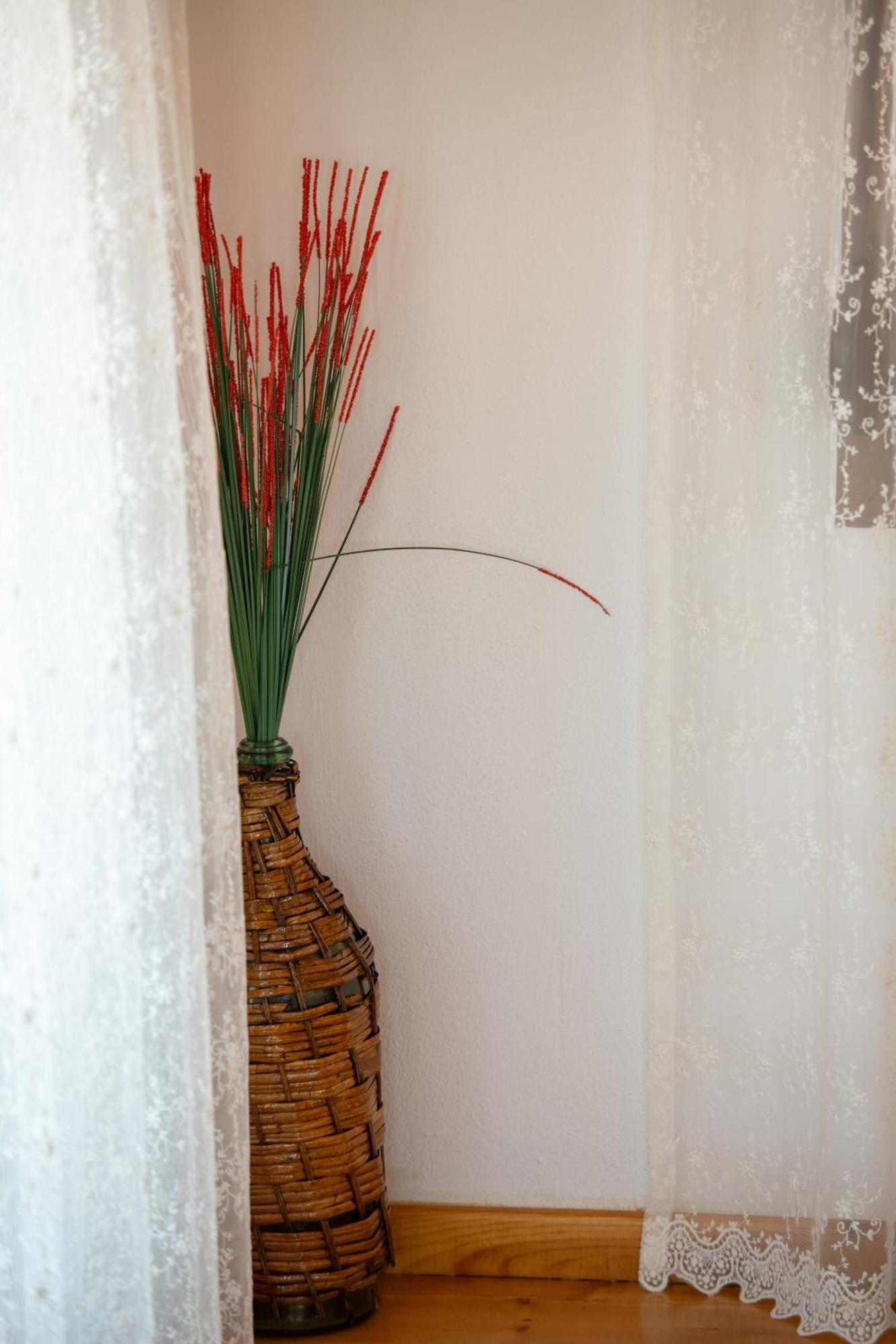 House Draganis Villa Sykia Chalkidikis Exterior photo
